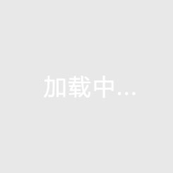 布鲁斯国际新城